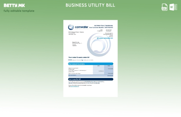 Модерен стил шаблон за деловна сметка за комунални услуги на Камерун Camwater